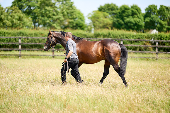 24-01-28_DominicJames_00928