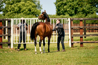 24-01-28_DominicJames_01291
