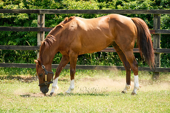 24-01-28_DominicJames_02448