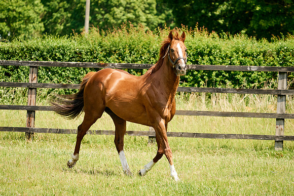 24-01-28_DominicJames_03029
