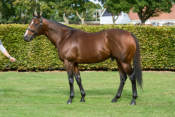 2025-09-16-Dominic-James-00128