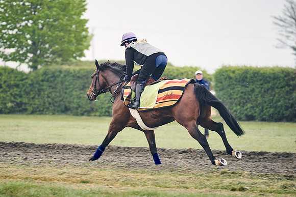 NEWMARKET-GALLOPS-24nd-APRIL-DJ-0215