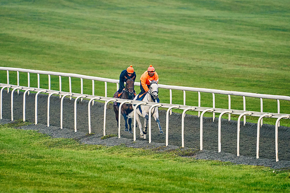 2022-10-13-Dominic-James-4056