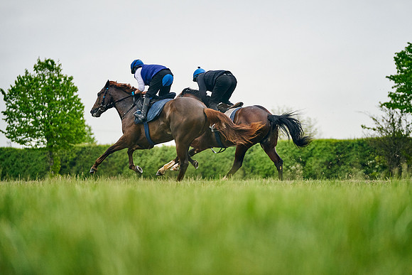 2022-05-07-Dominic-James-1233