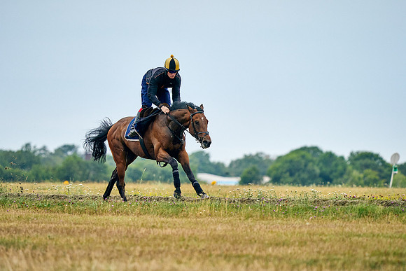 2022-07-23-DominicJames-1266