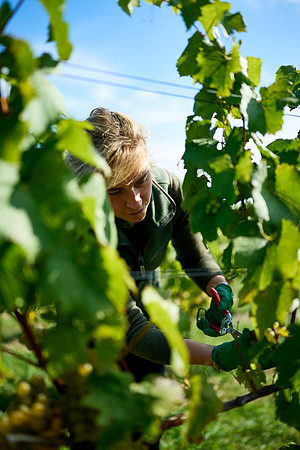2025-09-27-Dominic-James-01827