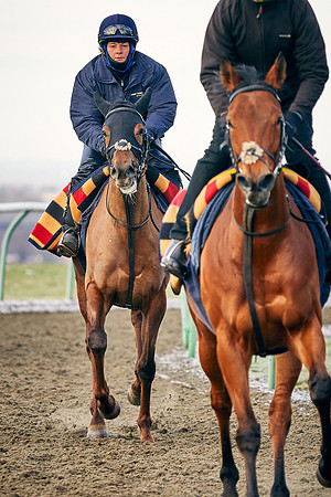 2021-02-11-Dominic-James-1202