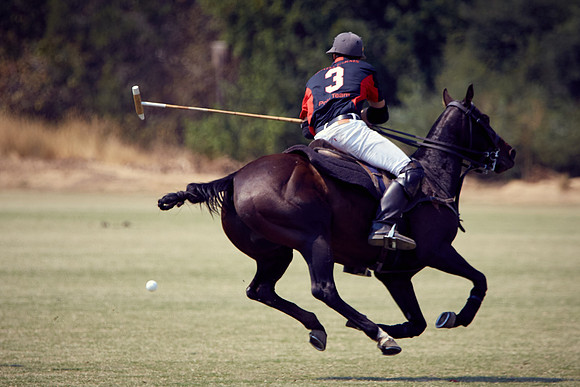 Oyster Cup Polo tournament