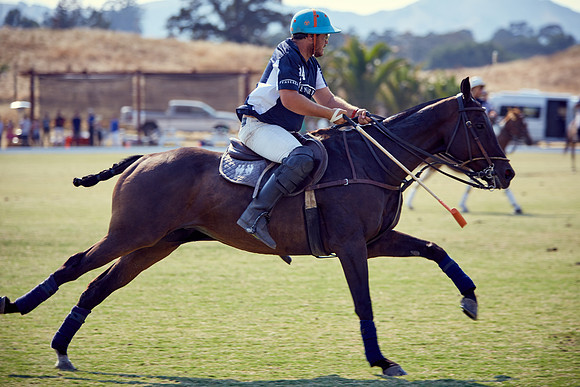 Oyster Cup Polo tournament