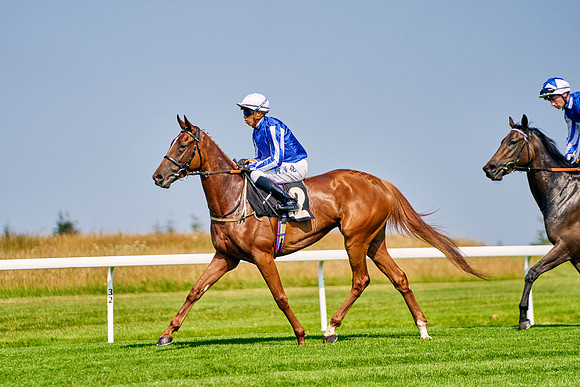QGF2024_DominicJames_08598