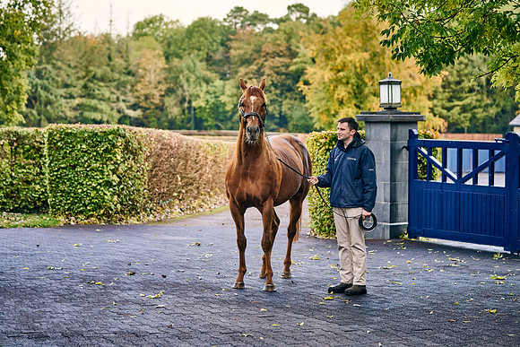 2022-10-18-Dominic-James-9991