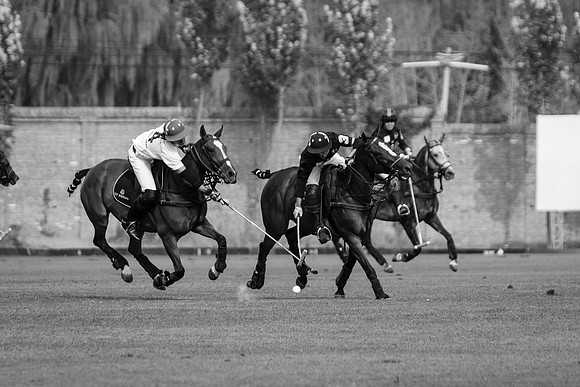 Royal Salute Gold Cup 2012 China Polo Tournament Open
