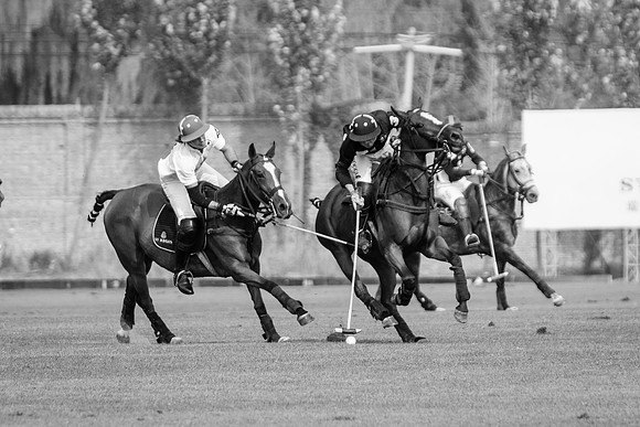 Royal Salute Gold Cup 2012 China Polo Tournament Open