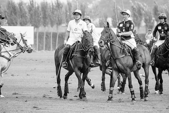 Royal Salute Gold Cup 2012 China Polo Tournament Open