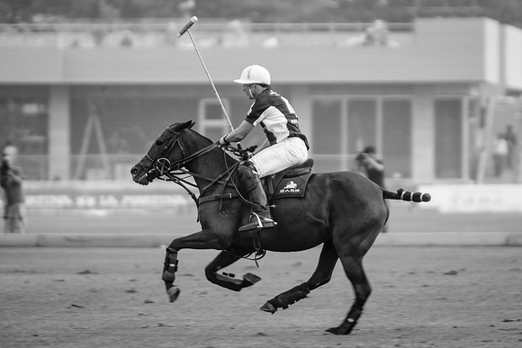 Royal Salute Gold Cup 2012 China Polo Tournament Open