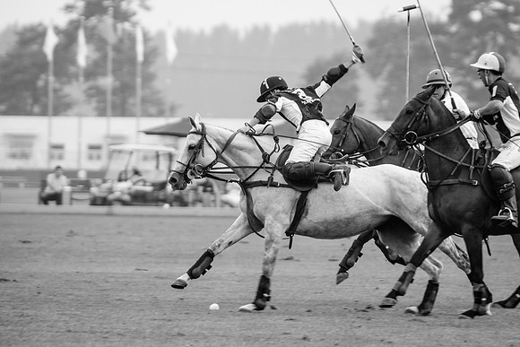 Royal Salute Gold Cup 2012 China Polo Tournament Open
