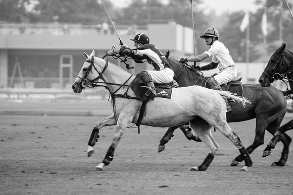 Royal Salute Gold Cup 2012 China Polo Tournament Open
