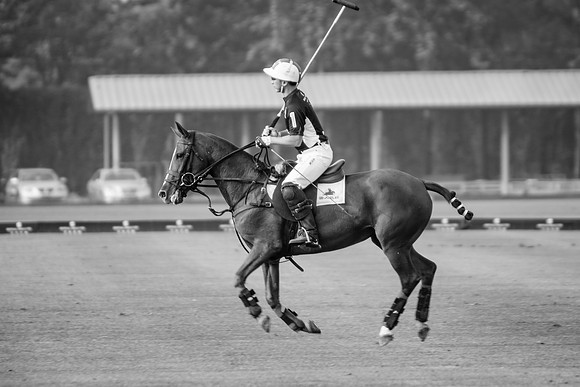 Royal Salute Gold Cup 2012 China Polo Open Tournament