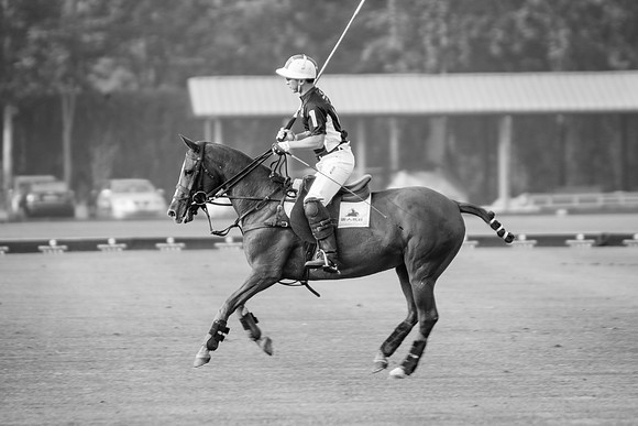 Royal Salute Gold Cup 2012 China Polo Open Tournament