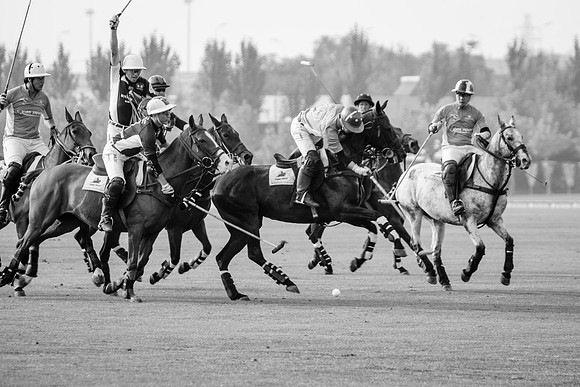 Royal Salute Gold Cup 2012 China Polo Open Tournament