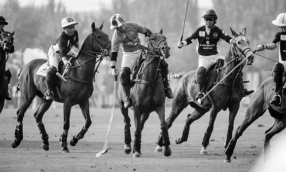 Royal Salute Gold Cup 2012 China Polo Open Tournament
