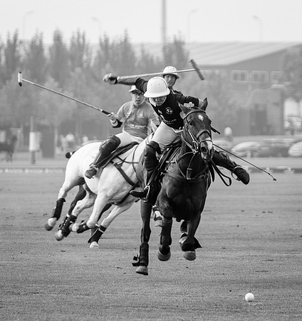 Royal Salute Gold Cup 2012 China Polo Open Tournament
