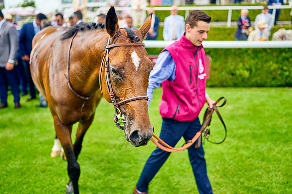QGF2024_DominicJames_05927