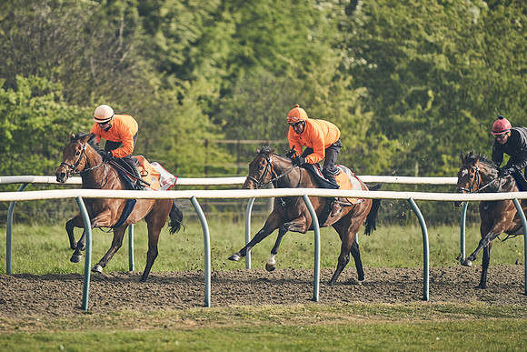 NEWMARKET-GALLOPS-24nd-APRIL-DJ-0628