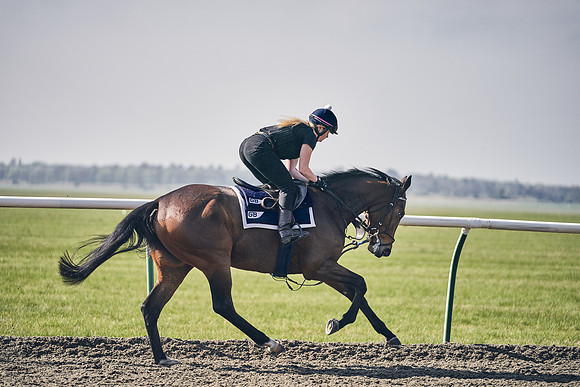 GEORGE-BOUGHEY-RACING-DJ-3429