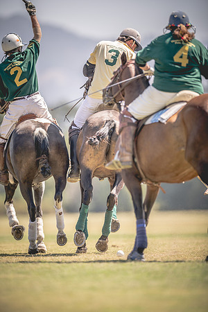 20140907DJ142559.CR2