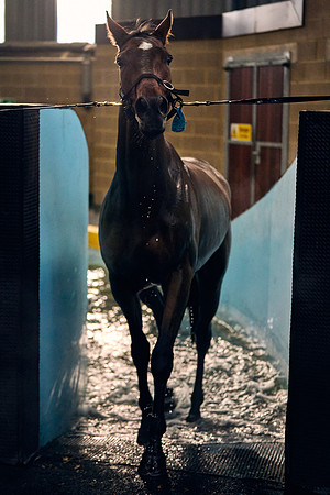 2022-11-16-Dominic-James-02238