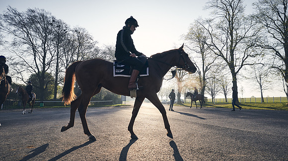 GEORGE-BOUGHEY-RACING-DJ-0678