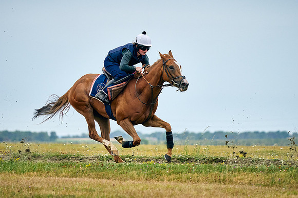 2022-07-23-DominicJames-1288