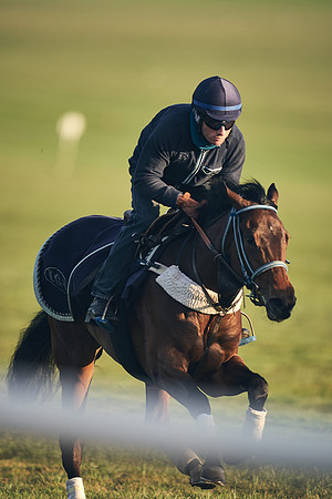 SUMMER GALLOPS-2nd-May-DJ-2052