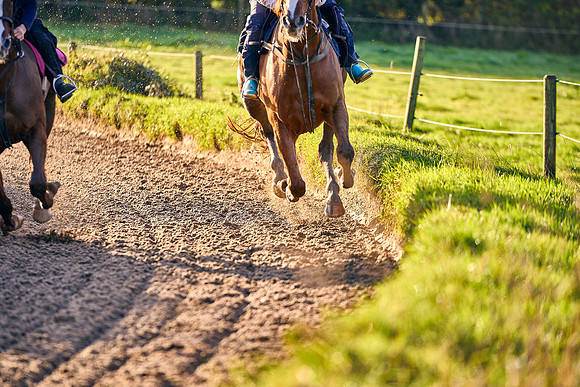 2022-11-09-Dominic-James-05036