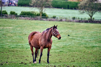 2022-11-10-Dominic-James-07741