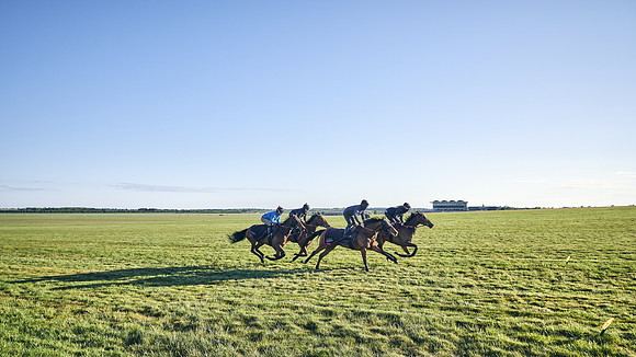 SUMMER GALLOPS-2nd-May-DJ-1075