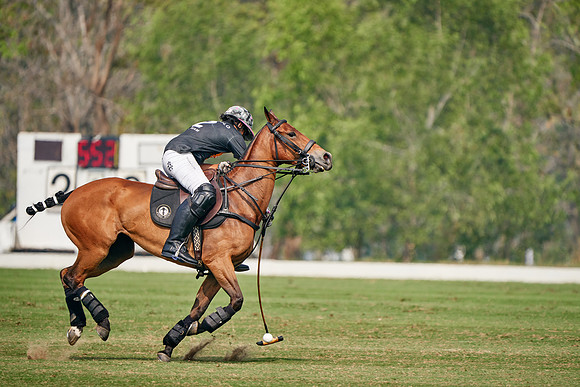 THAI-POLO-OPEN-2020-01-17-Dominic-James_DJ97755.ARW2105