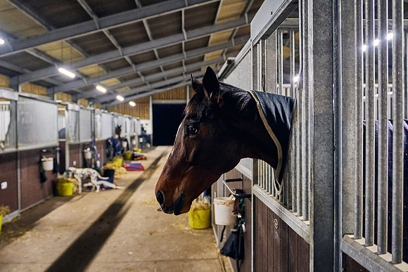 2022-12-13-Dominic-James-05671