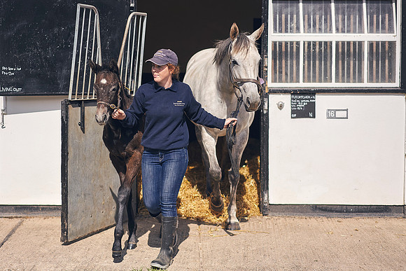 The-National-Stud-Dominic-James_DOM9464