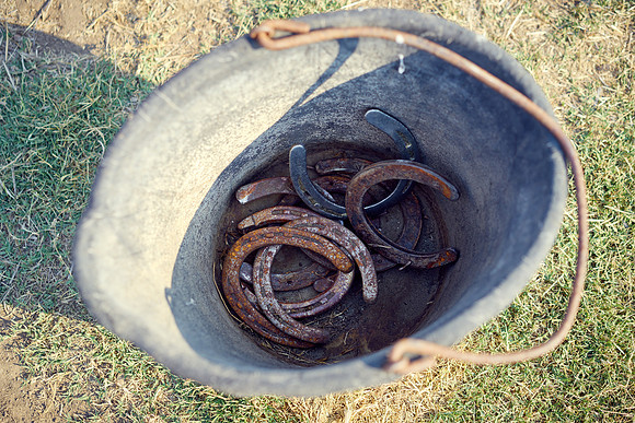 Oyster Cup Polo tournament
