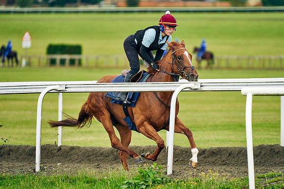 2021-08-03-Dominic-James-0817