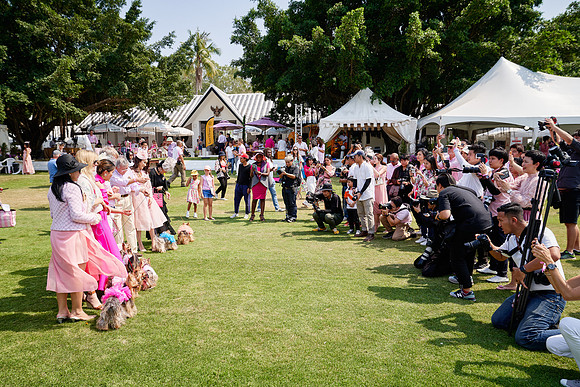 THAI-PINK-POLO-2020-Dominic-James_DJ77388.ARW-8998