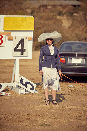 Oyster Cup Polo tournament