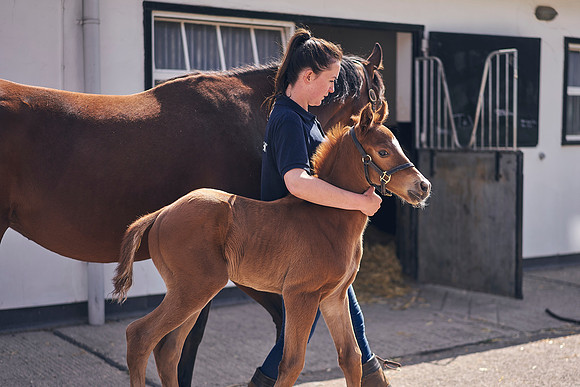 The-National-Stud-Dominic-James_DOM9799