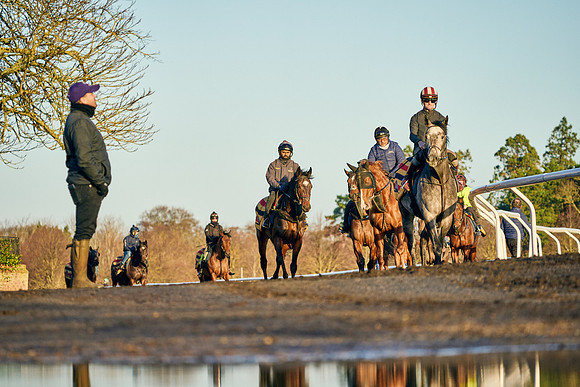2023-01-11-Dominic-James-01318