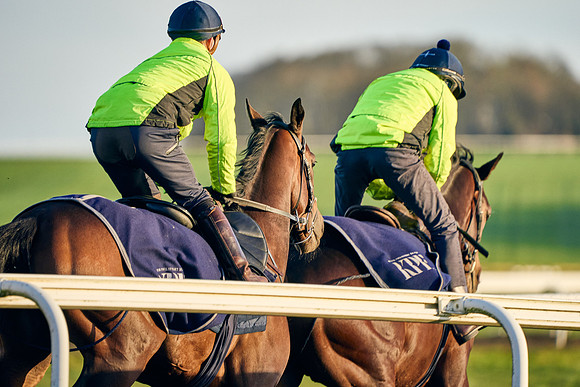 2023-01-11-Dominic-James-01979