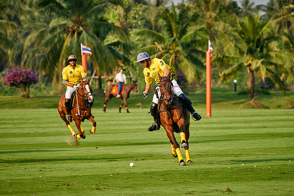 THAI-POLO-OPEN-2019_DJ_0773
