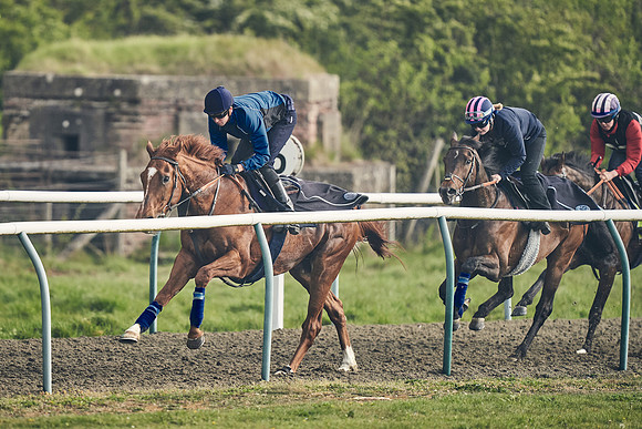 NEWMARKET-GALLOPS-24nd-APRIL-DJ-0552