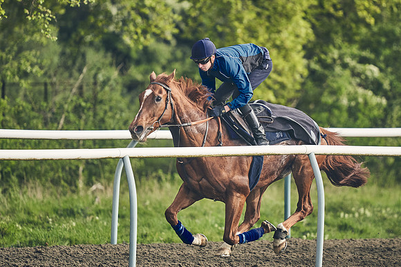 NEWMARKET-GALLOPS-24nd-APRIL-DJ-0561